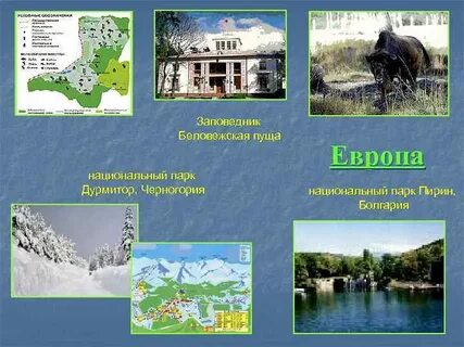 Самая большая заповедная территория европы
