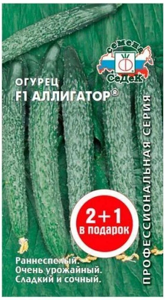 Огурец аллигатор 4 f1 (китайский жароустойчивый) 0,2г седек. Аллигатор огурцы отзывы описание. Аллигатор огурцы отзывы описание. Огурец аллигатор f1. Аллигатор огурцы отзывы описание.