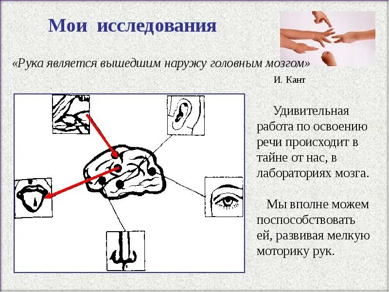 Как выйти из рук. И кант рука является вышедшим наружу головным мозгом. рука это вышедший наружу мозг. пальцы и мозг взаимосвязь. руки и мозг взаимосвязь.