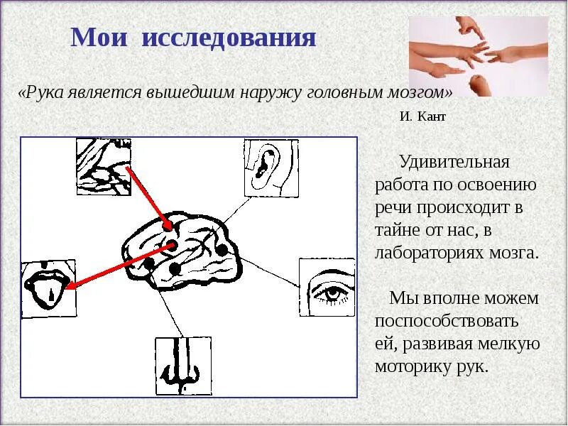 Выходи наружу. Руки и мозг взаимосвязь. И кант рука является вышедшим наружу головным мозгом. Мелкая моторика рук связь с мозгом. Пальцы и мозг взаимосвязь.