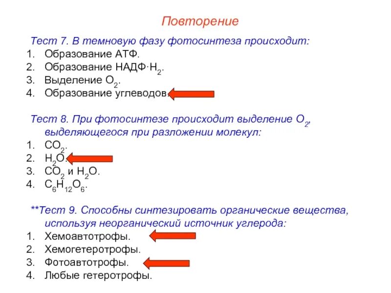 Происходит образование атф фаза