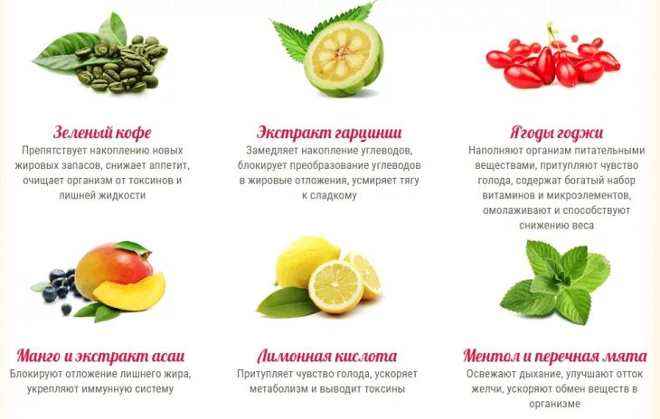 Как разогнать метаболизм в организме. Препараты ускоряющие метаболизм в организме. как разогнать обмен веществ. ускорители обменных процессов в организме. средства для ускорения метаболизма.