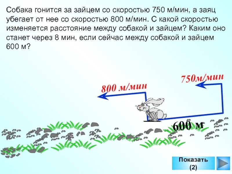 Собака погналась за зайцем. Заяц бежит со скоростью. Скорость передвижения зайца. Собака гонится за зайцем. Валера бежит за щенком со скоростью