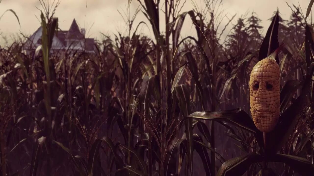 Початок 2. Ночное кукурузное поле. Кукурузное поле ночью. Страшное кукурузное поле. Кукурузное поле Эстетика.