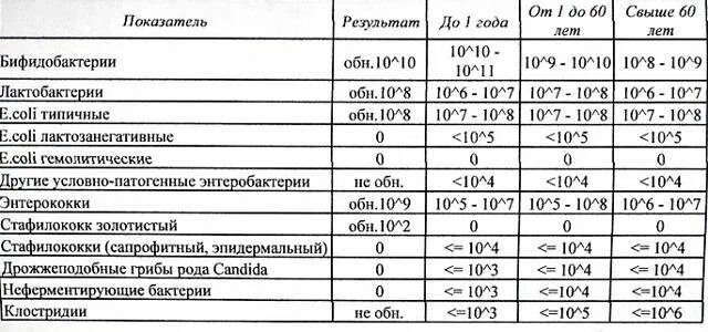 E coli типичные норма