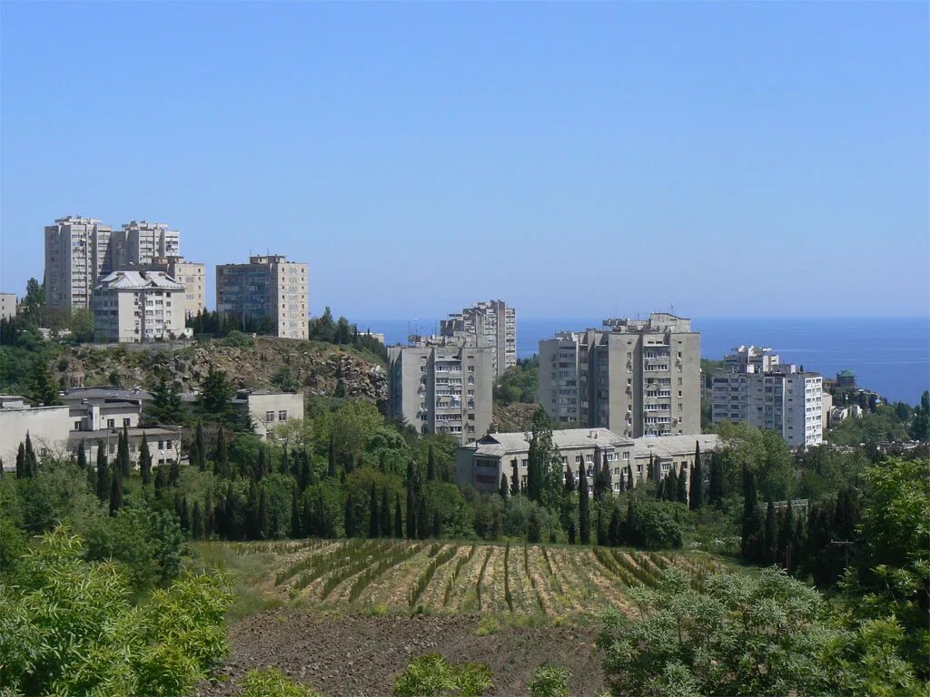 Нет света в партените. Партенит, жск медведь партенит. Нет света в партените. Партенит 2007 год. Переулок курортный партенит.