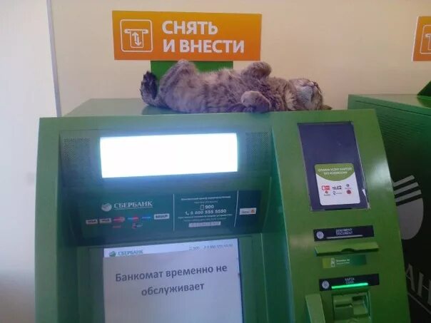 Центробанк Банкомат. Банкомат временно не обслуживает. Интересные банкоматы. Банкомат Сбер в Крыму.