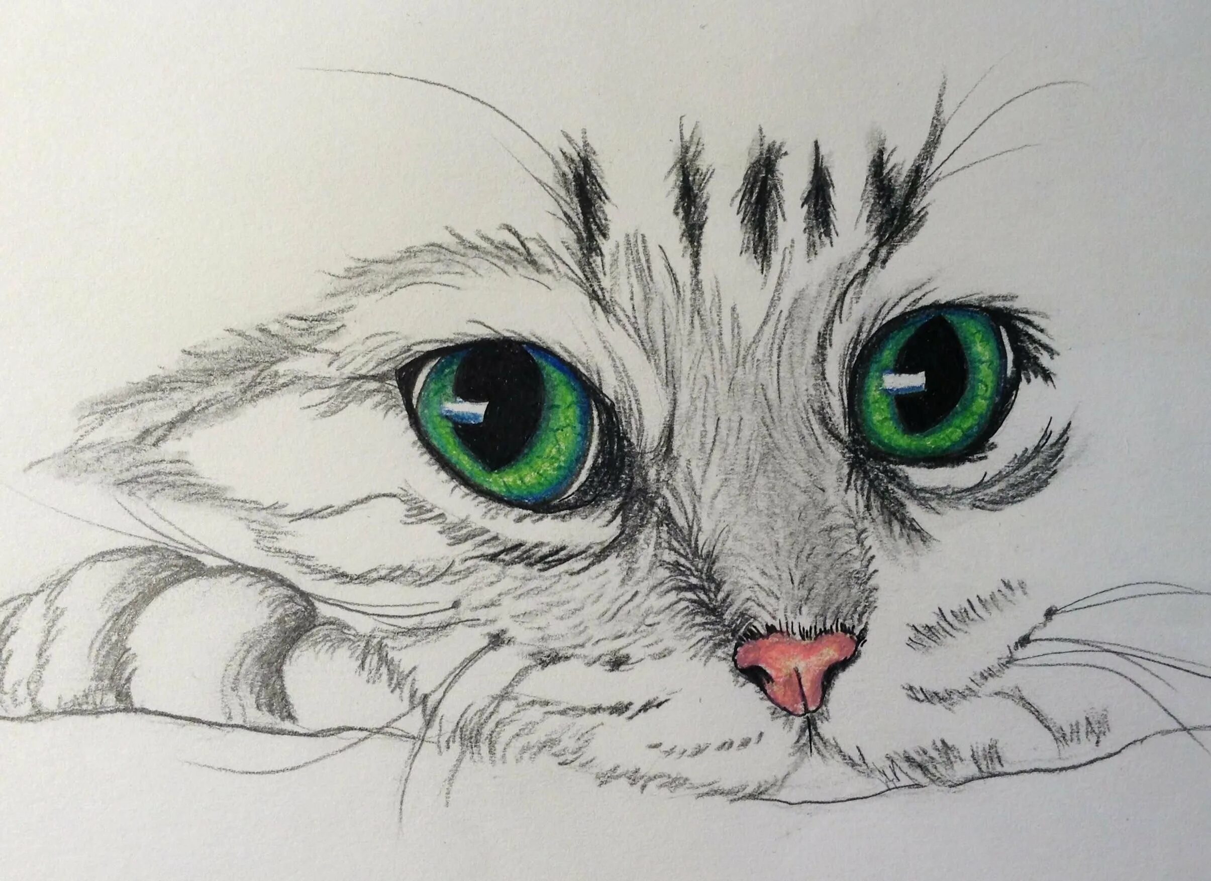 Покажи красивые рисунки. Рисунки карандашом кошки лёгкие. Котики карандашом легкие. Рисунки котиков карандашом лёгкие. Кошка арт карандаш легий.