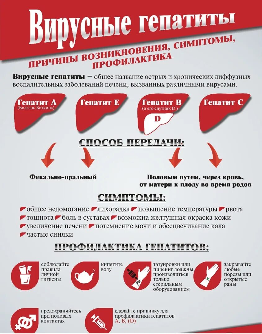 Гепатит рб. Вирусные гепатиты. гепатит симптомы и профилактика. профилактика гепатита с.