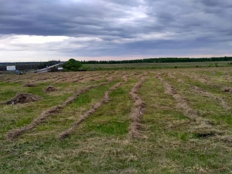 250 Соток. Земля с/х назначения в аренду в Воронеже. Купить участок у Оки м4. Продаю участок цена. Организации продающие участки