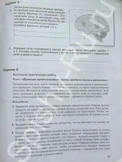 Биология 8 класс учебник драгомилов практическая работа