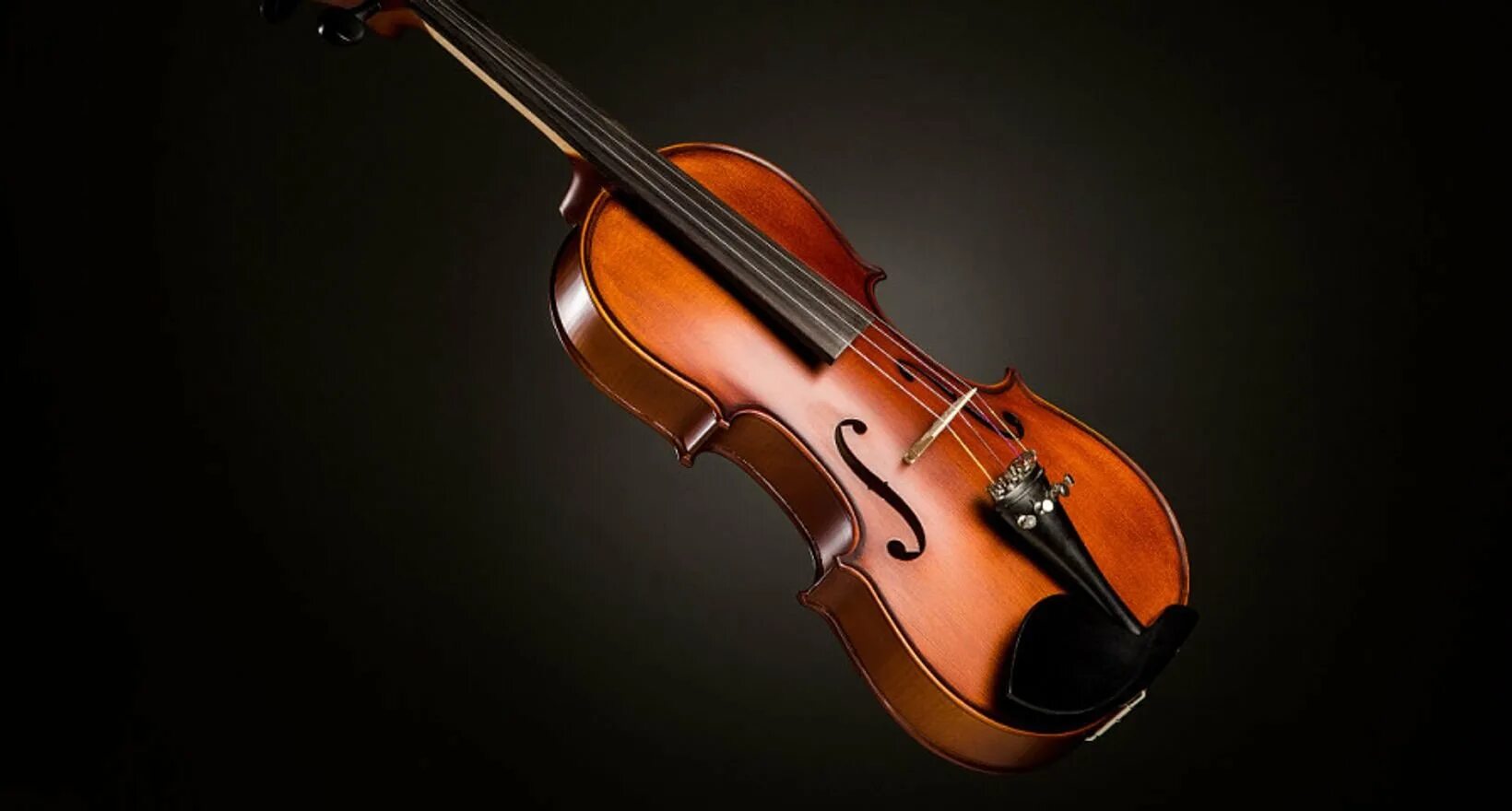 Violin скрипка