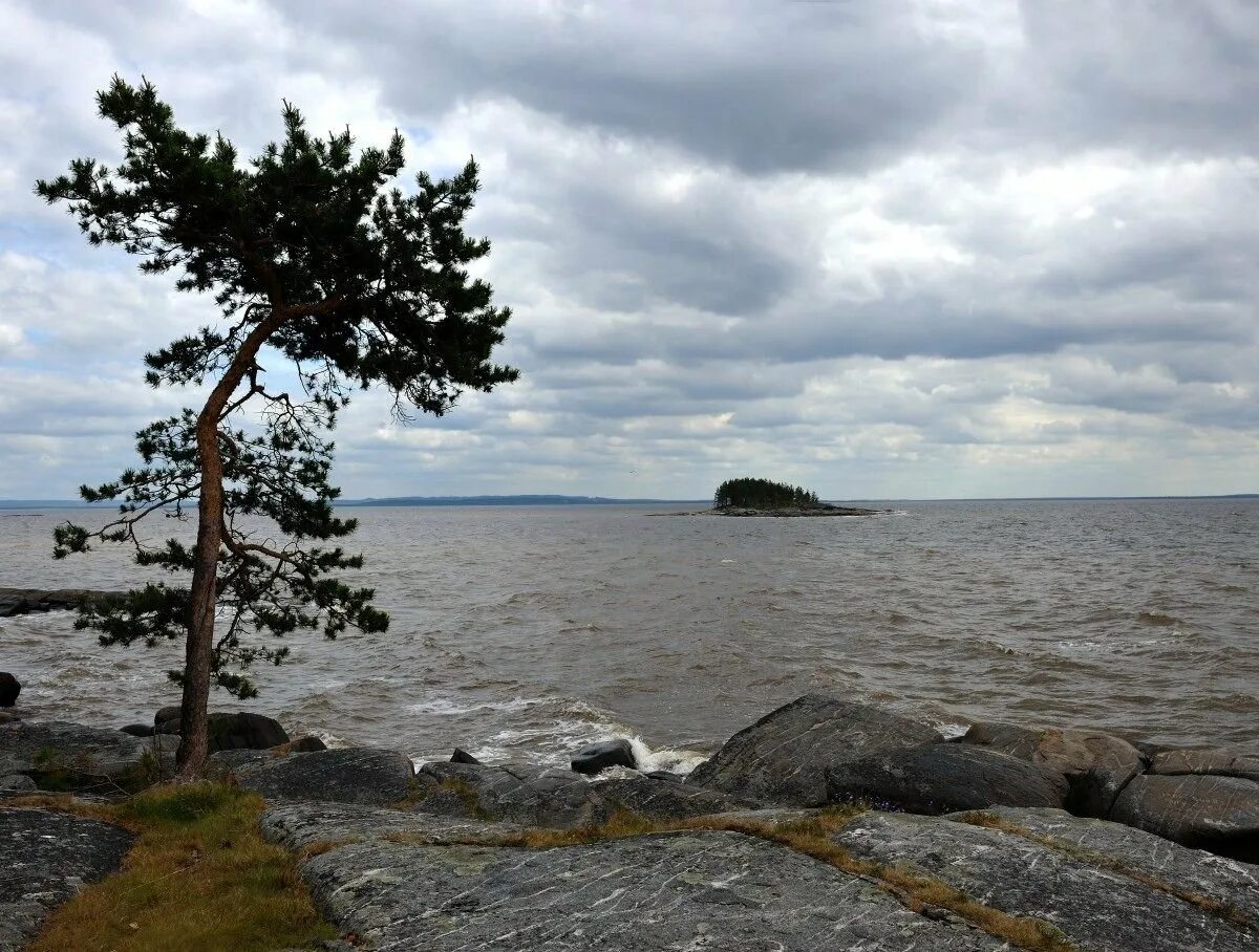 Онежская губа белого моря. Онежская губа белого моря. Архангельск берег белого моря поморы. Берег онега белое море. Белое море онега.