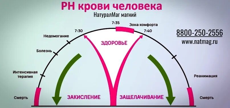 Рн человека в норме. Норма рн крови у человека. Ph баланс шкала. Норма ph крови алкалоз ацидоз. Ph жидкостей организма человека.