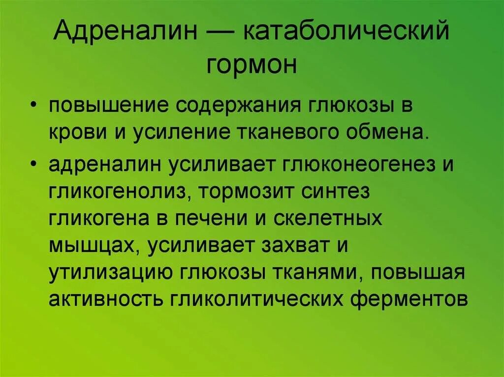 Катаболическим гормоном считается. Анаболические и катаболические гормоны. Адреналин гормон. Катаболический эффект гормонов. Повышен уровень адреналина в крови