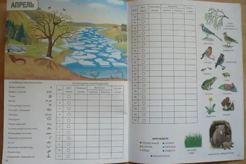 Дневник природы