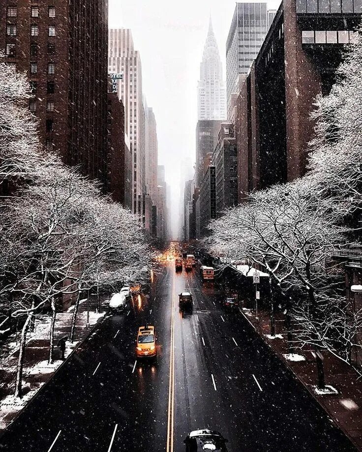 6,826 Likes, 35 Comments - What I Saw In NYC (@what_i_saw_in_nyc) on Instagram: 