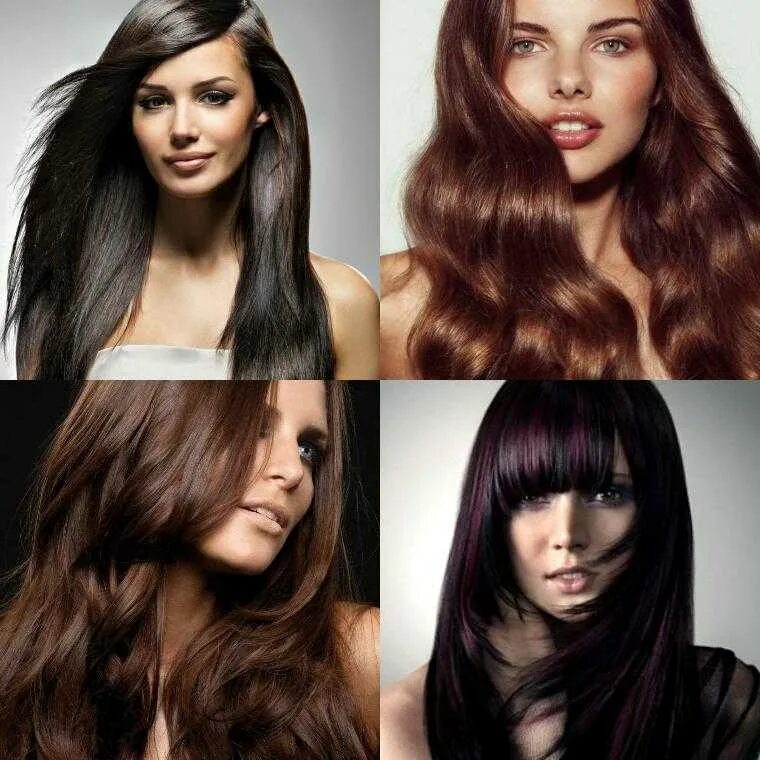 Какие сейчас модные волосы. Модный цвет волос. Модные цвета волос женские. Цвет волос модные тенденции. Модные цвета для окрашивания волос.