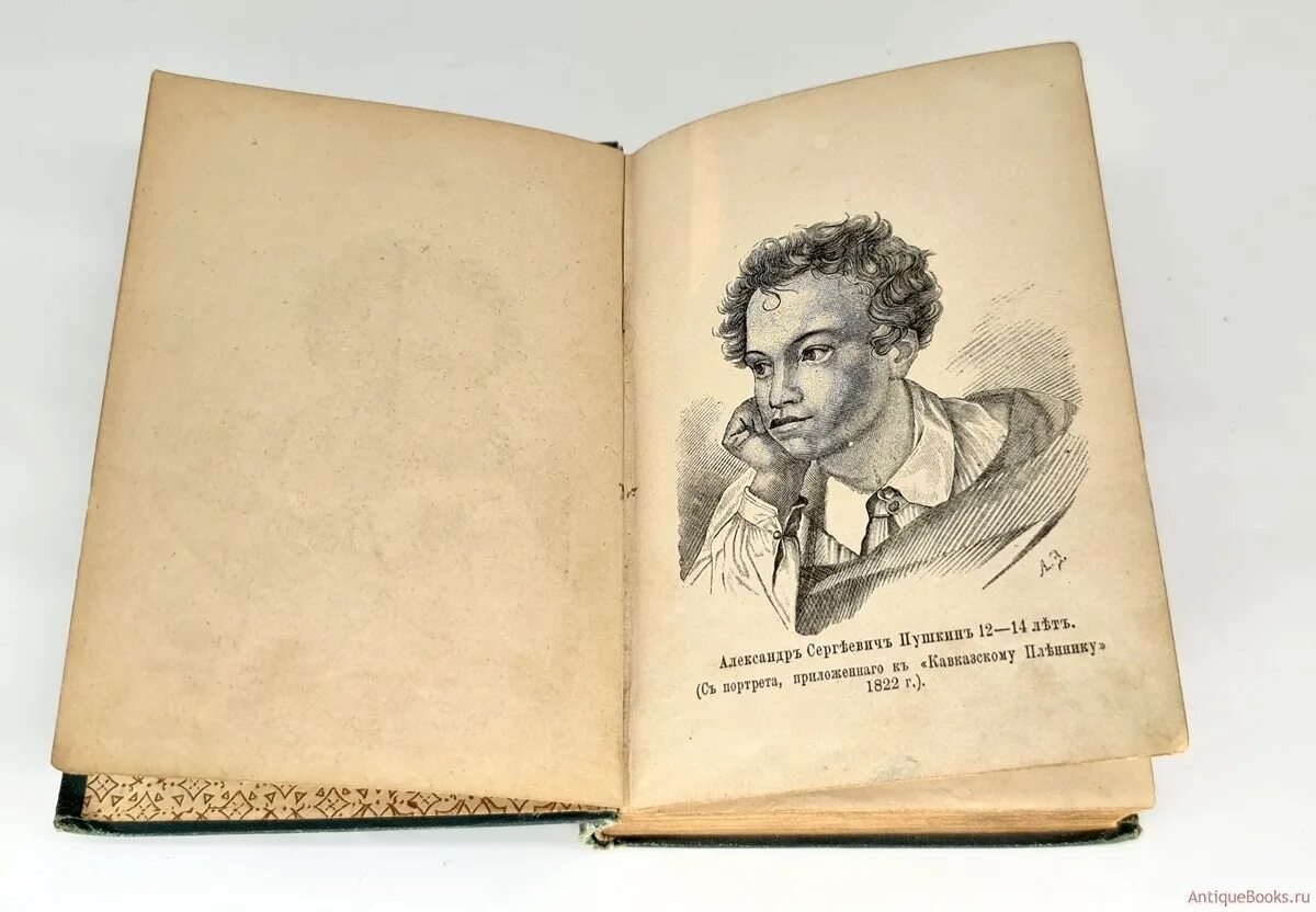 Гениальные поэт пушкин. Литературная гостиная Пушкин. Пушкин 1887. Книги Пушкина. Антикварная книга а.с.Пушкин.