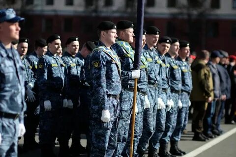 Шел пл