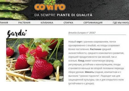 Описание клубники гарда отзывы