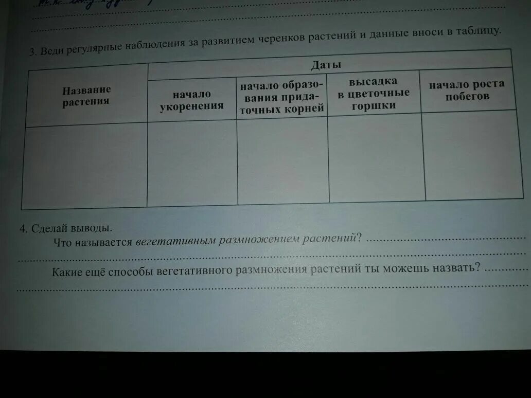 Задание 4 что общего