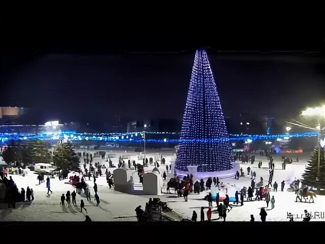 Веб камеры катунь