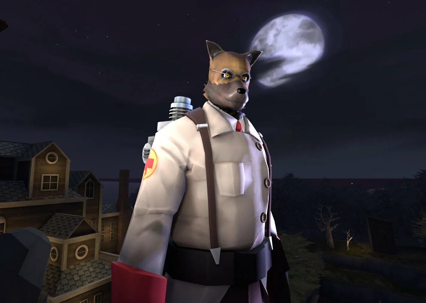 Фурий мод. Тим фортресс 2 фурри. Team Fortress medic. Tf2 medic furry. Team Fortress 2 furry Mod.