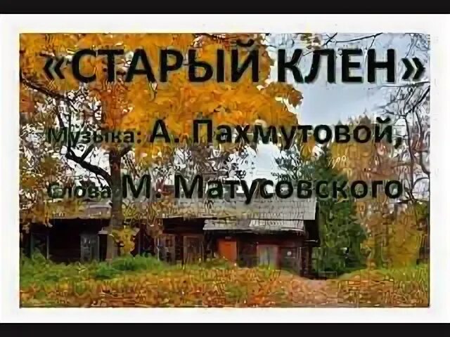 Песня клен стучит. Старый клен. Матусовский старый клен. Старый клён песня. Старый клен окно.