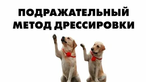 Собак способ