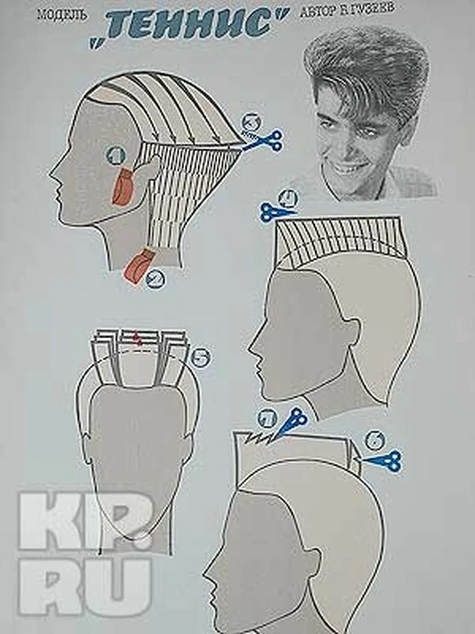 Стрижки полубокс пошагово. Схема стрижки теннис пошагово. Стрижка теннис схема. Стрижка теннис мужская схема. Схема стрижки андеркат пошагово