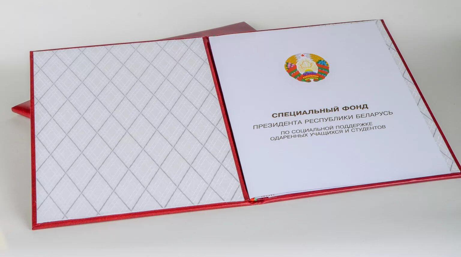 Поддержка талантливой молодежи рб. Эмблема фонда гражданских инициатив. Фонды помощи беларуси. Фонды помощи беларуси. Логотип фонд грантов главы рб.