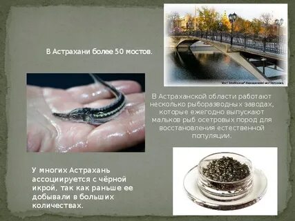 Почему астраханская