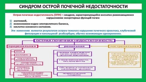 Почечная недостаточность пропедевтика