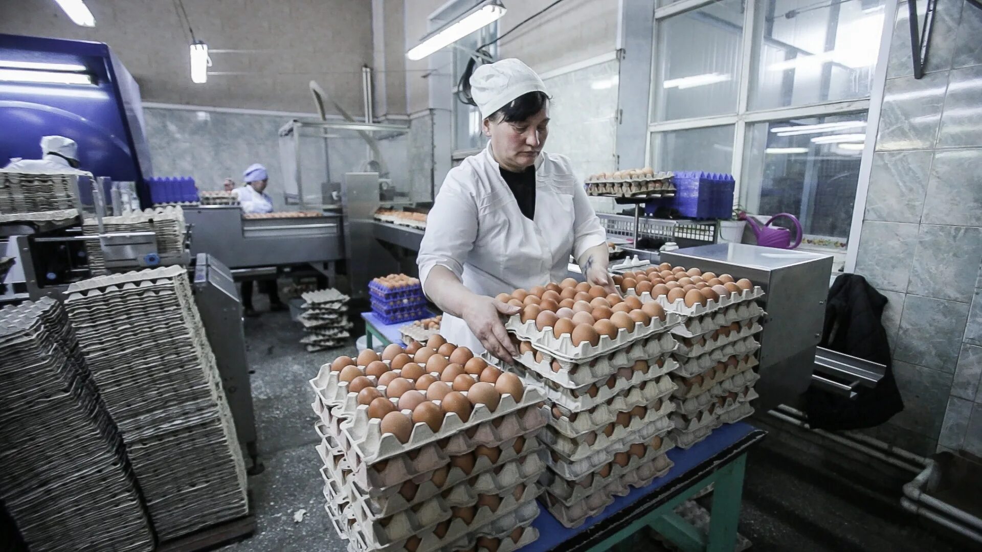 Ростов крупные производства. Производство яиц. Яйца производители. Яйца фирмы производители. Крупнейшие производители яиц.