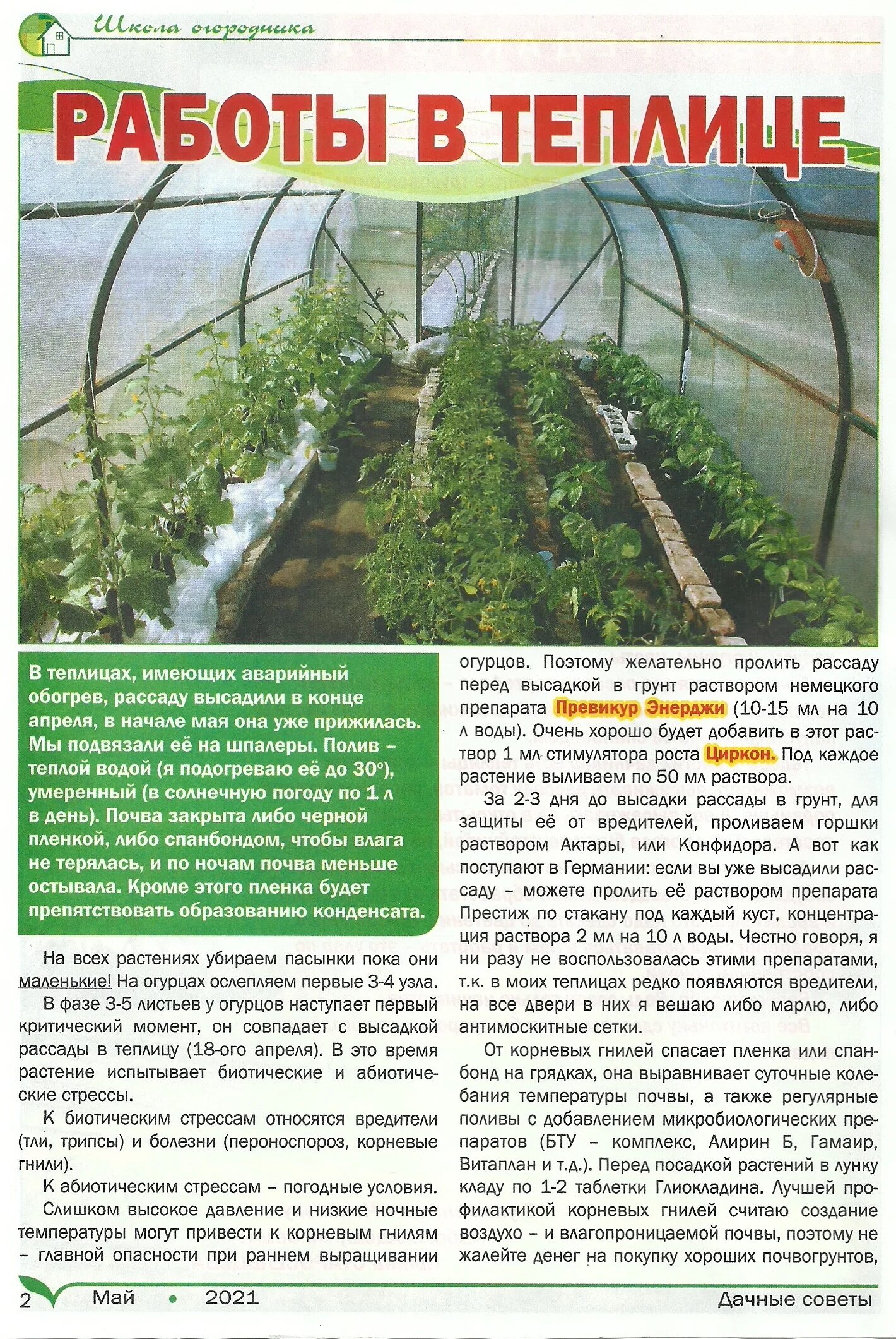 советы садоводов и огородников дачные полезные. дачные советы галины старосельцевой 2023. дачные советы с галиной старосельцевой. дачные советы галины старосельцевой передача. дачные советы с галиной.