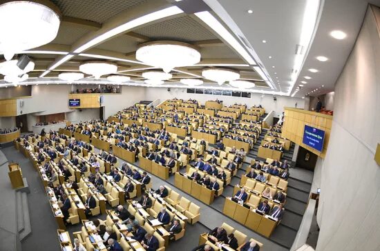 Parliamentary Control. The state of the federal assembly