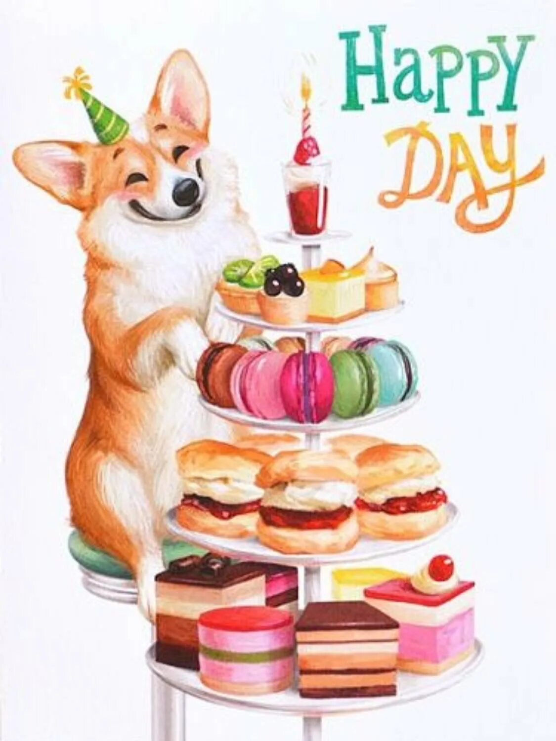 Корги в колпаке. Корги 1 год. Корги. Корги. Груминг корги пемброк.