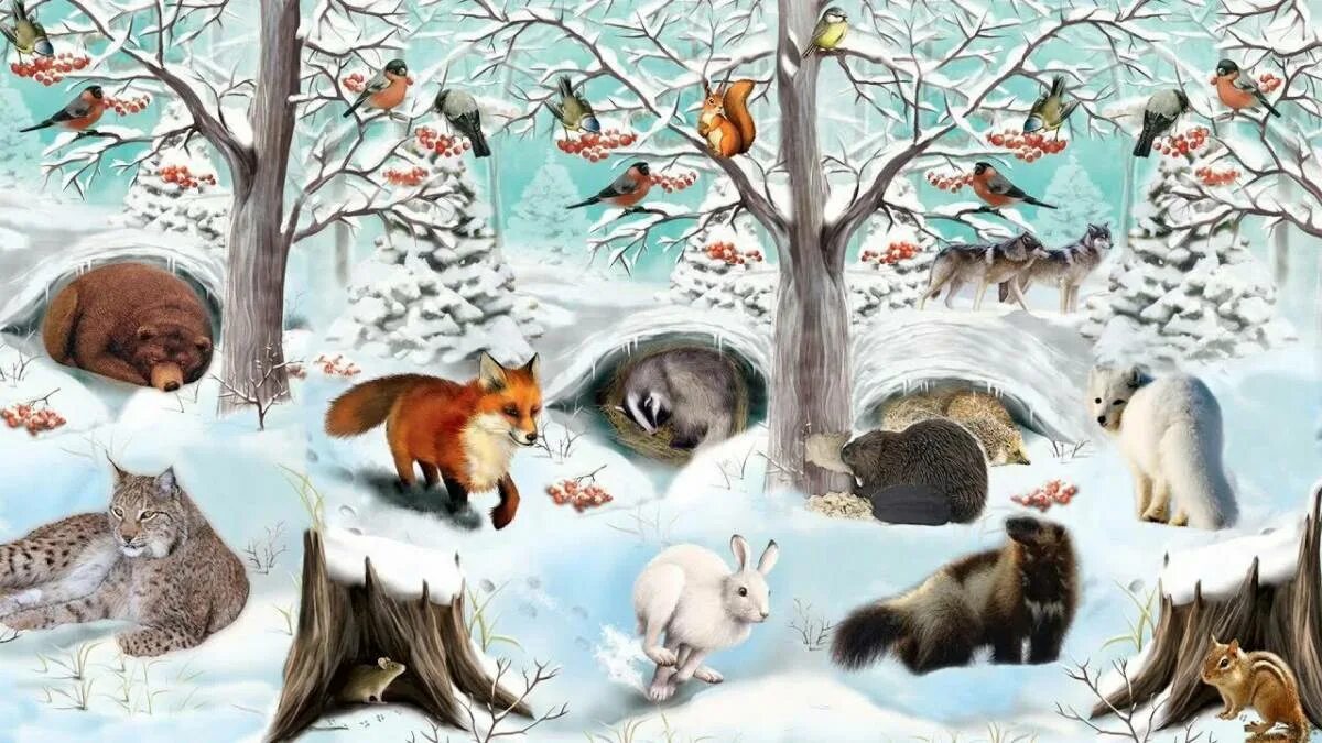 Дикие животные весной для детей. Животные зимой. Дикие животные зимой. Животные зимой для детей. Звери в лесу.