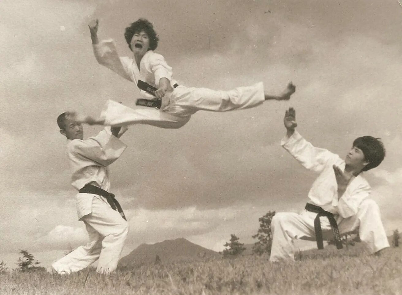 Лучший вид боевых искусств для самообороны. Хапкидо корея. Боевые искусства японии. Хапкидо корея. Король шаолиня 2006.