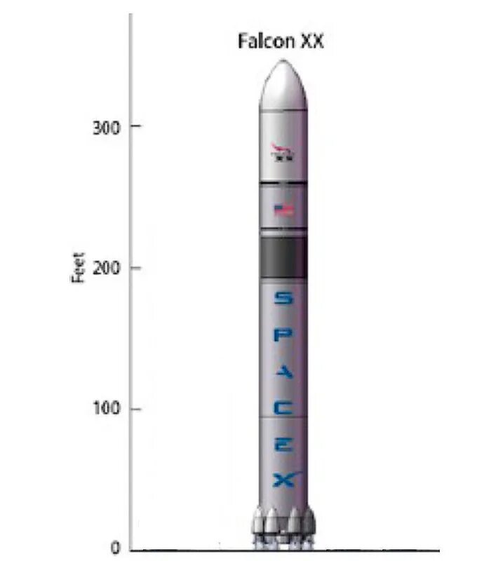 Тип фалькон. Falcon 9 launch. falcon 2рашиосианцич. фалькон графический. нелепый фалькон.