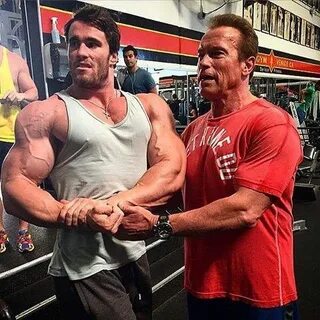 Шварценеггер похожие