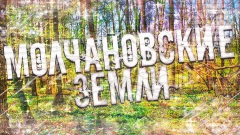 Страшные истории рей