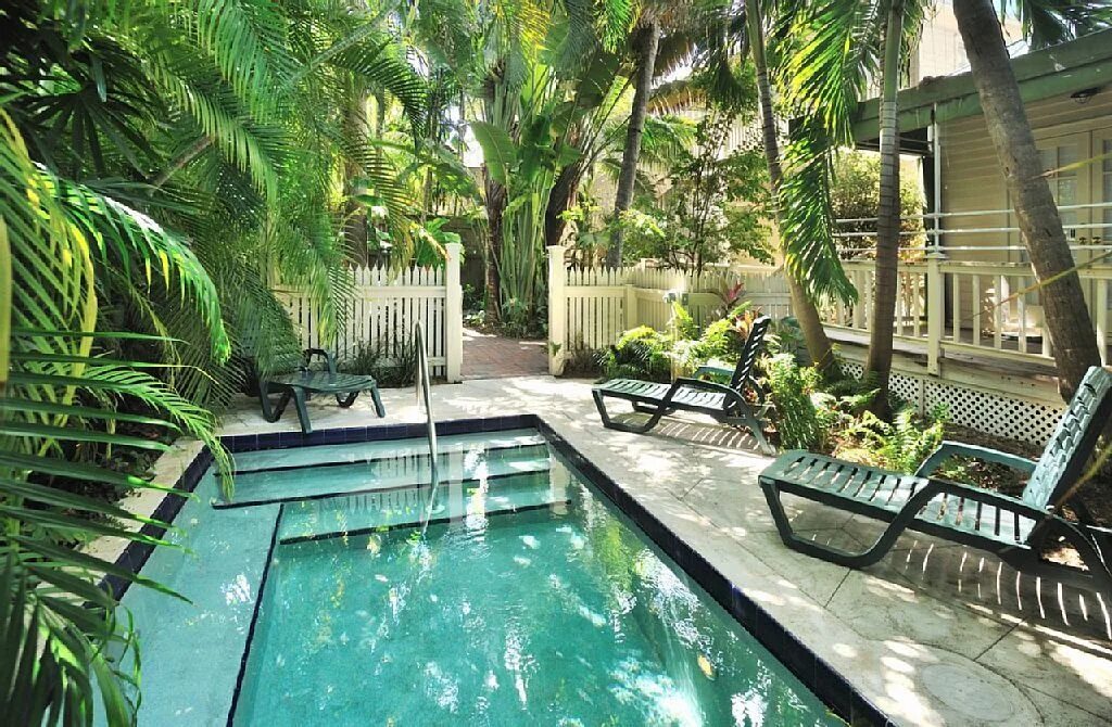 Бассейн в тропическом стиле. Тропический бассейн в доме. Дом с бассейном с тропическим садом. Тропики в саду с бассейном.