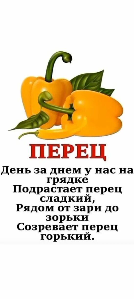 Стихи про перец. Важный перец. Стихи про перец. Стихи про перец. Стихи про перец для детей.