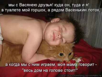 Включи кот мурзик