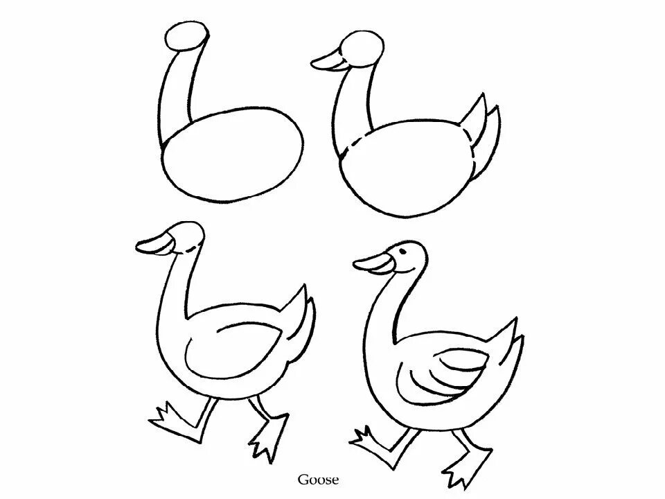 Рисуем утку поэтапно. Рисование домашние птицы. Поэтапное рисование утки для детей. Схема рисования птицы для детей. Рисуем птицу поэтапно презентация 2 класс