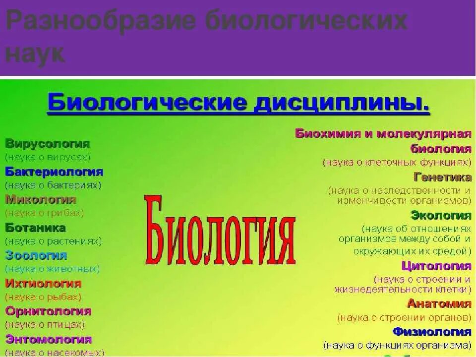 Сколько есть наука. Биологические дисциплины. Названия биологических дисциплин. Разделы изучения биологии. Науки биологии.