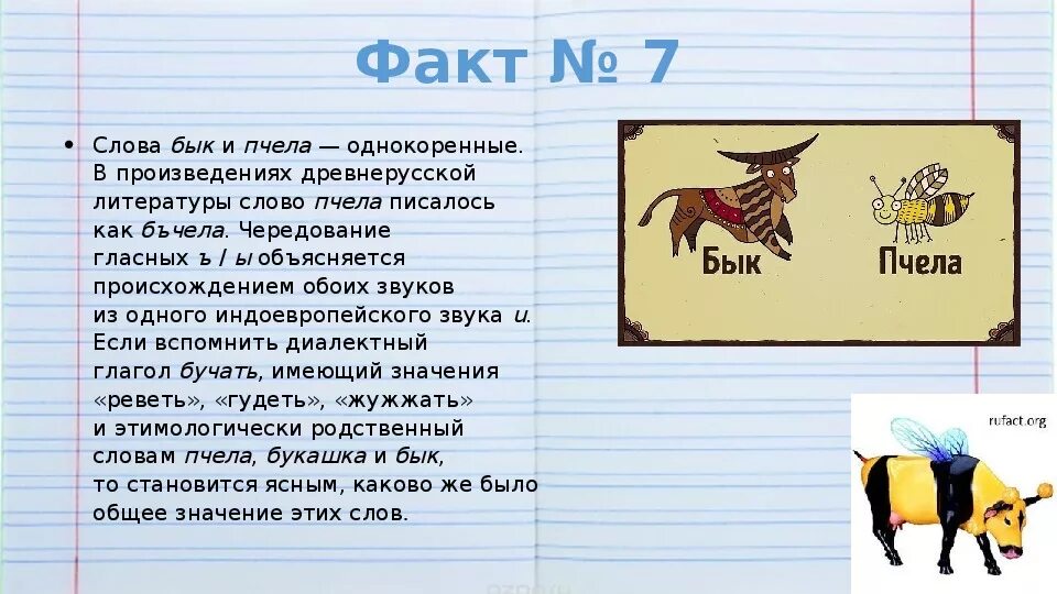 Собака однокоренные слова. Бык и пчела однокоренные. Бык и пчела однокоренные слова. Этимология слова бык и пчела. Интересные факты о быках.