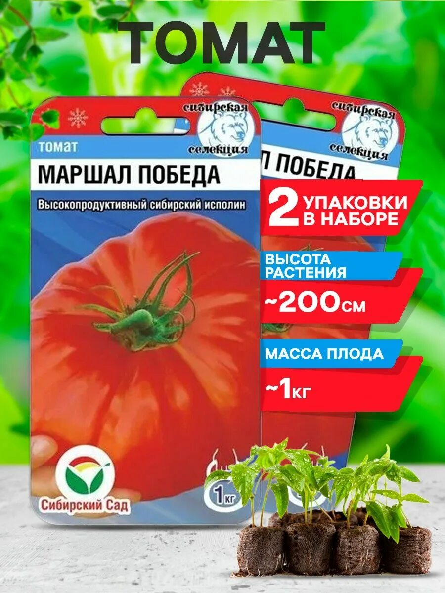 томат маршал победы характеристика и отзывы